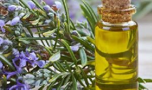 Rosemary Oil