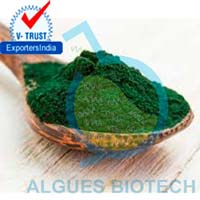 spirulina algae powder