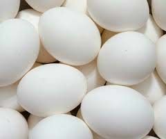 Fresh Eggs