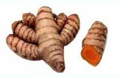 Raw Turmeric