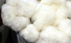 Raw Cotton