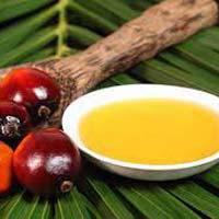 Palm Oil