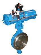 Pneumatic Actuated Butterfly Valves