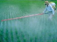 Chemical Fertilizers