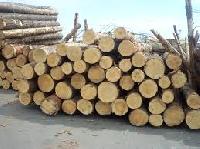 Timber Logs