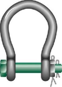 Shackle Pins