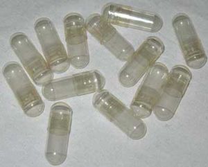 Human Probiotic Capsules (Provnorm)