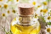 Chamomile Oil