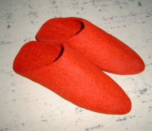 felt shoes