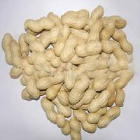 Groundnuts