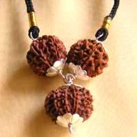 PP08 RUDRAKSHA KALSARP SHAN