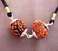 PP10 RUDRAKSHA FOR WINNERS