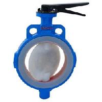 Teflon Lined Valves