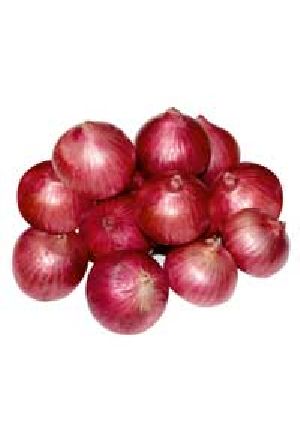 Onion