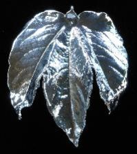 Silver Leaves