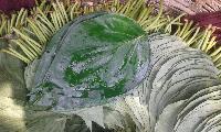 kolkatha leaf