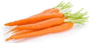 Fresh Carrot