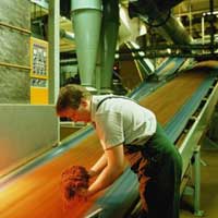 Oil Resistant Conveyor Belt