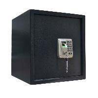 Electronic Safes