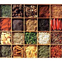 Spices