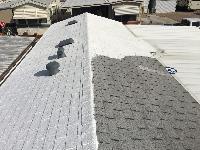 elastomeric roof coating