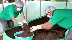 Vermicompost Manure