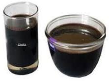 cnsl oil