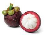 Mangosteen