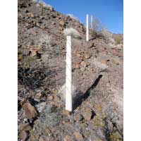 Fencing Cement Poles