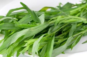 Tarragon