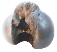 Anant Sayan Shaligram Stone