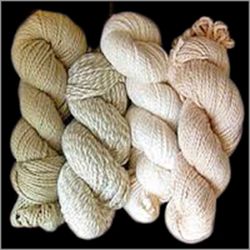 Hosiery Cotton Yarn