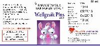 Wellgesik Plus Syrup