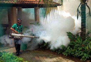 Mosquito control gas