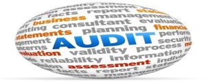 audit consultancy