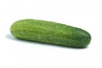 Fresh Cucumber