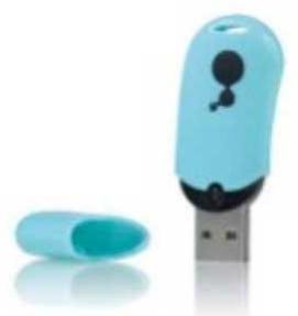 Plastic Pen Drive (CWC-02-020)