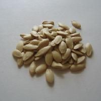 Cucumber Seeds