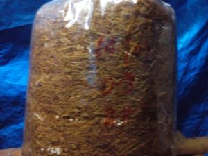 Sterilized Grass & Compost