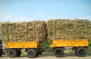 Four Wheeled Single Tipping Trailer