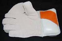 Wicket Keeping Gloves