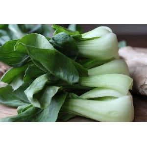 Fresh Baby Bok Choy