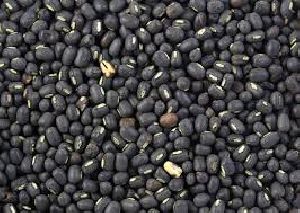 Black Gram Beans