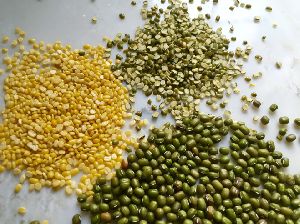 Moong Beans