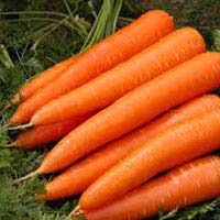 Carrots