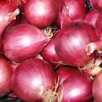 Onions