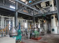 edible oil plant