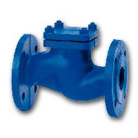 Industrial Check Valves