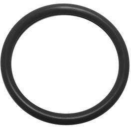 Viton Rubber O Ring