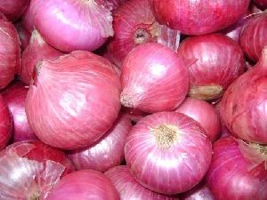 natural fresh onion